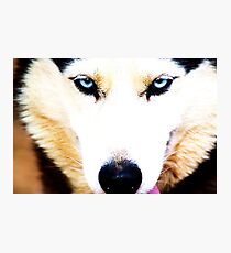 Geronimo Photographic Print