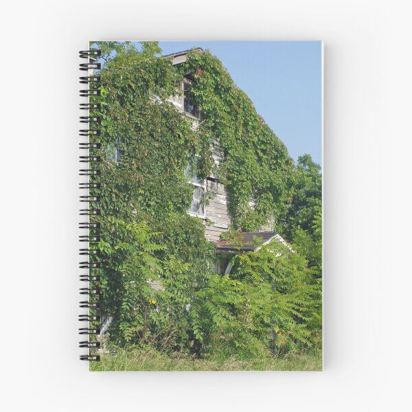 Item preview, Hidden and Forgotten designed and sold by WisePhoto.