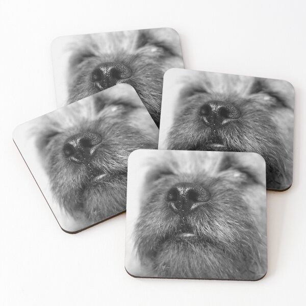 Item preview, Border terrier dogs nose designed and sold by shootingnelly.
