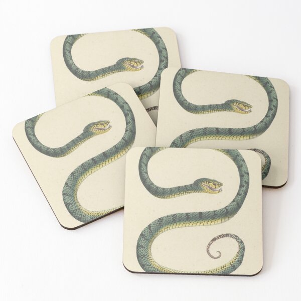 Item preview, Trigonocephalus formosus - The Snake -1839 designed and sold by BookCoverSeeker.