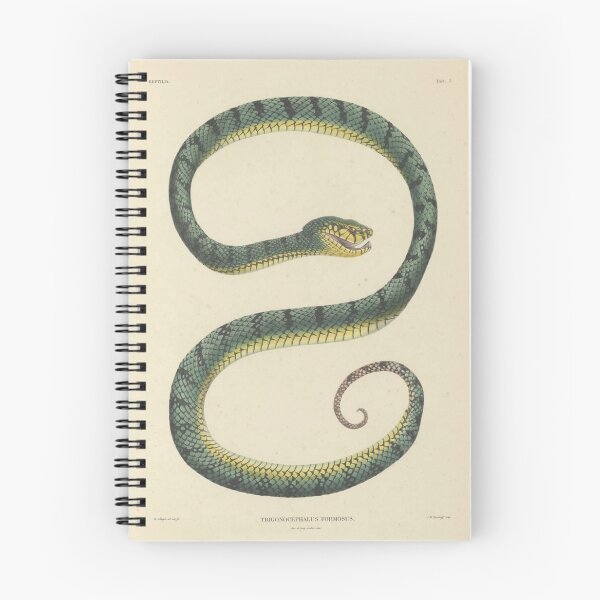 Item preview, Trigonocephalus formosus - The Snake -1839 designed and sold by BookCoverSeeker.