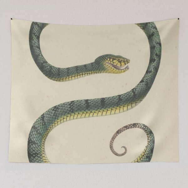 Item preview, Trigonocephalus formosus - The Snake -1839 designed and sold by BookCoverSeeker.