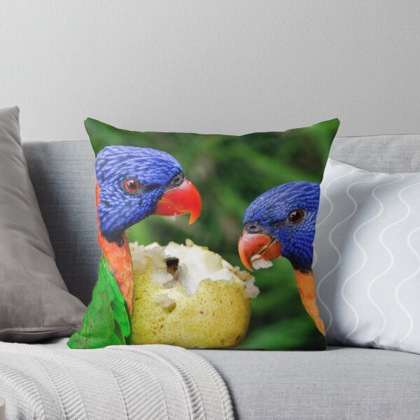 Item preview, Australian Birds - The Rainbow Lorikeet - Photographic Print designed and sold by nickegglington.