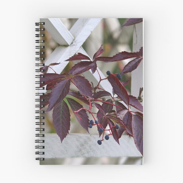 Item preview, Urban nature designed and sold by Bluesrose.