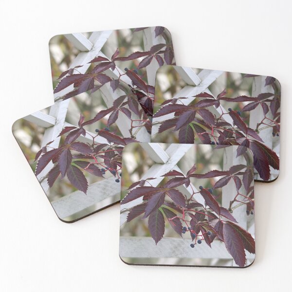 Item preview, Urban nature designed and sold by Bluesrose.