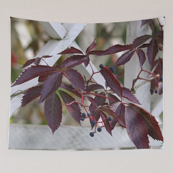 Item preview, Urban nature designed and sold by Bluesrose.