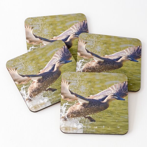 Item preview, Australian Ducks - The Pacific Black Duck - Photographic Print designed and sold by nickegglington.