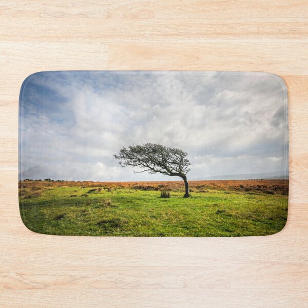 Item preview, Windswept Tree designed and sold by Dave Hare Photography.