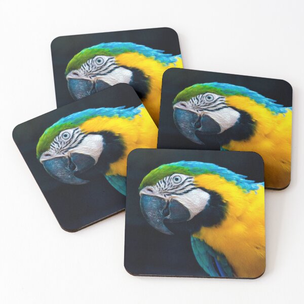 Item preview, Exotic Birds - The Blue And Gold Macaw - Photographic Print designed and sold by nickegglington.