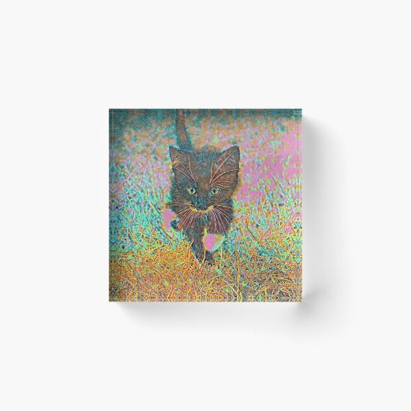 Artikelvorschau, AnimalMix Cat 009 entworfen und verkauft von JAMFoto.