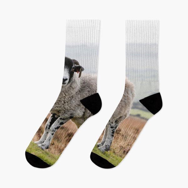 Item preview, Sheep designed and sold by Dave Hare Photography.