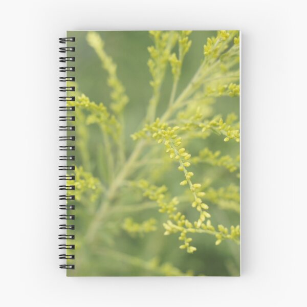 Item preview, Its not easy being green designed and sold by CLRPhoto.