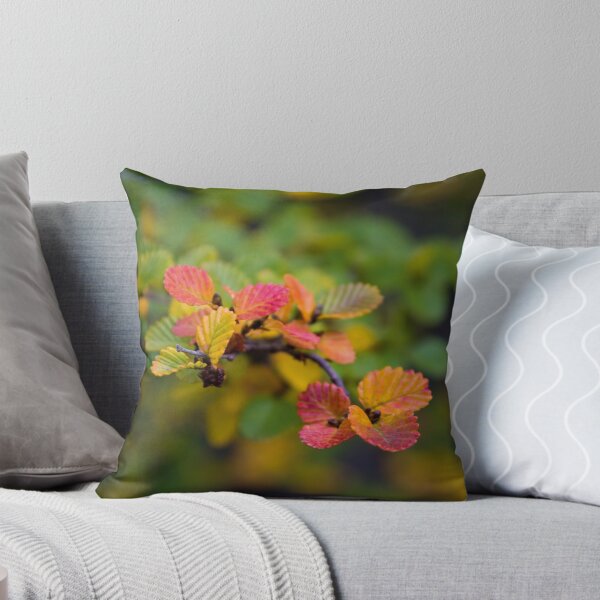 Item preview, Nothofagus Gunnii 'fagus', Tasmania designed and sold by pauldfleming.