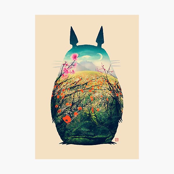 Tonari No Totoro Photographic Print