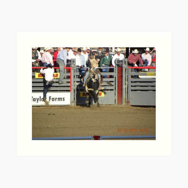 Bull Rider Art Print