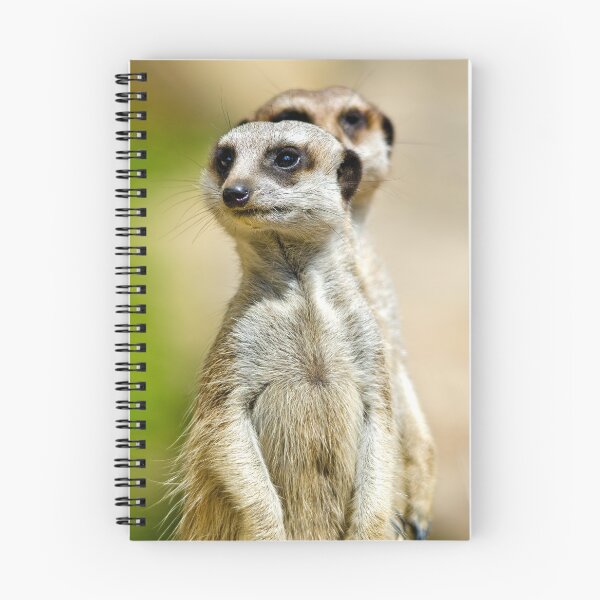 Item preview, African Wildlife - Meerkats - Photographic Print designed and sold by nickegglington.