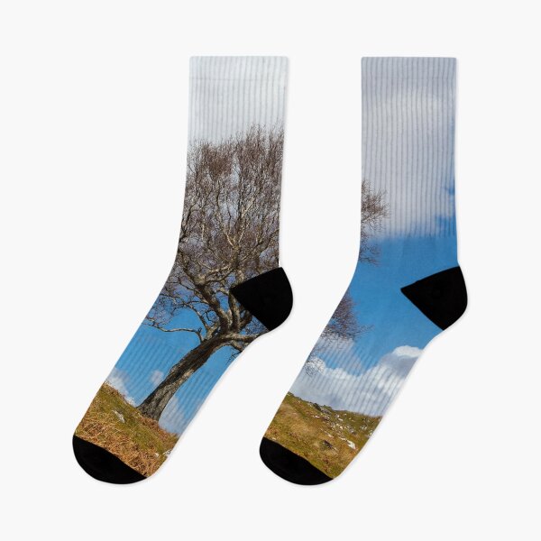 Item preview, A single tree, Dumfries and Galloway designed and sold by Dave Hare Photography.