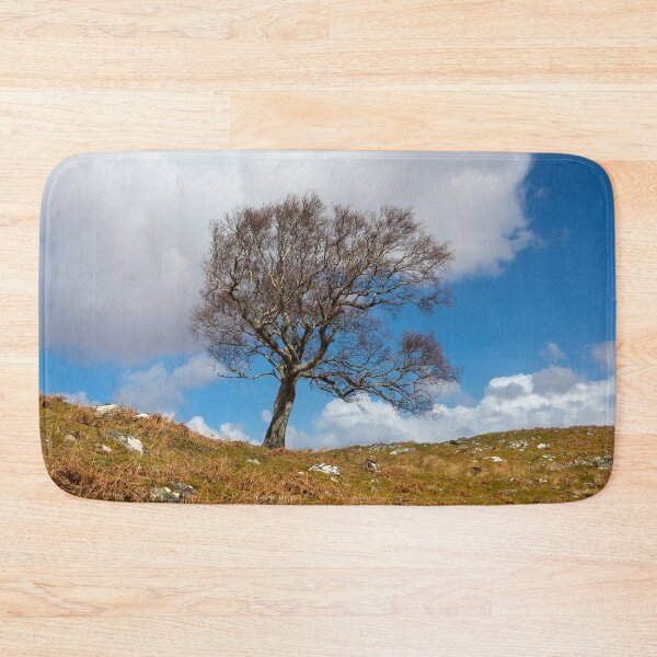 Item preview, A single tree, Dumfries and Galloway designed and sold by Dave Hare Photography.