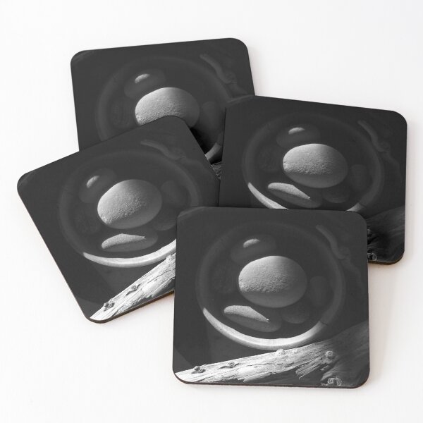 Item preview, Still Life Stones designed and sold by Elizabeth "Tibby" Steedly.