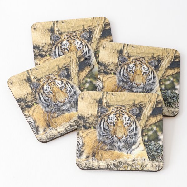 Item preview, AnimalMix Tiger 009 designed and sold by JAMFoto.