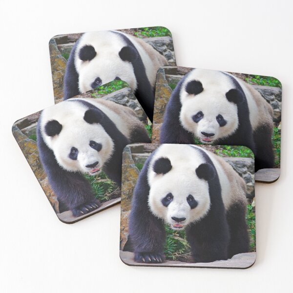 Item preview, Chinese Wildlife - The Giant Panda - Photographic Print designed and sold by nickegglington.