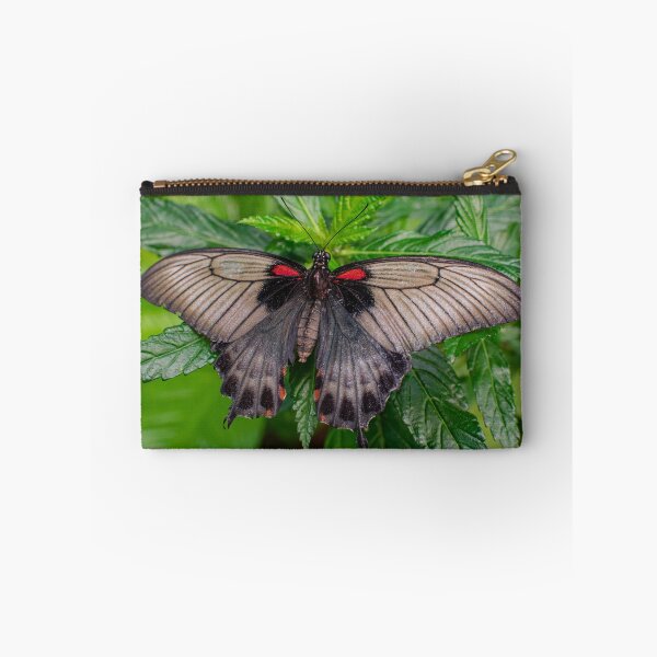 Item preview, Female Papilio memnon, the great Mormon butterfly designed and sold by Martin Leber.