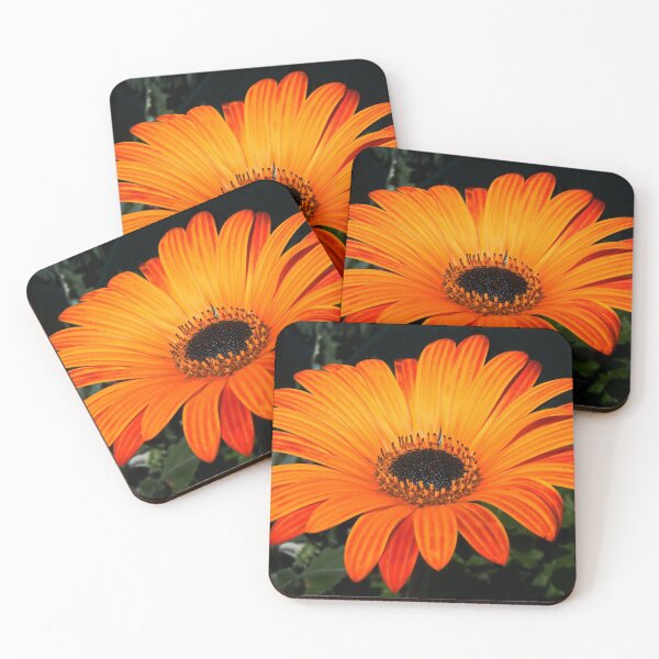 Item preview, Daisy Daisy designed and sold by AnnDixon.