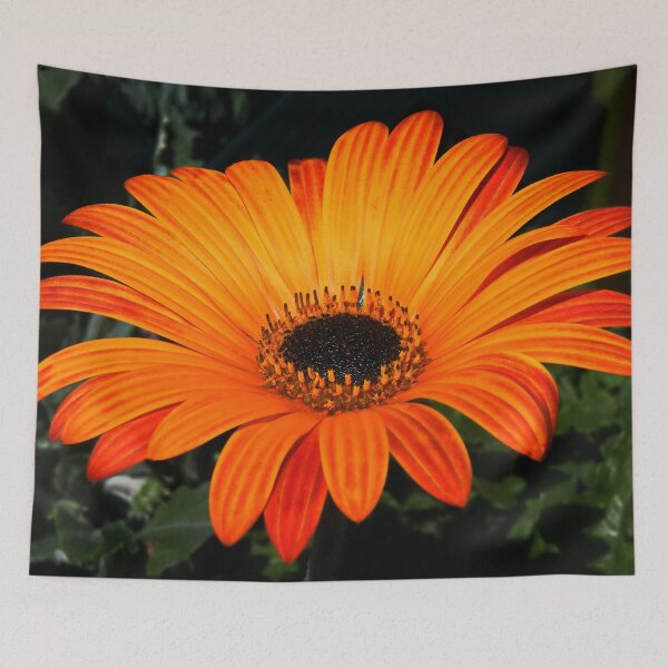 Item preview, Daisy Daisy designed and sold by AnnDixon.