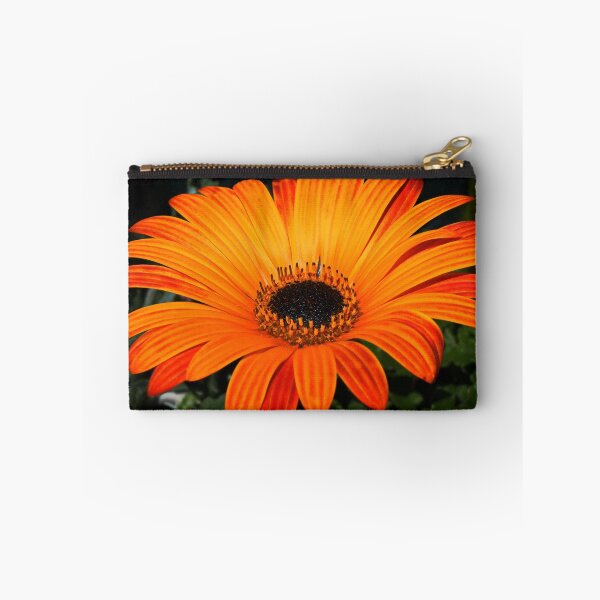Item preview, Daisy Daisy designed and sold by AnnDixon.