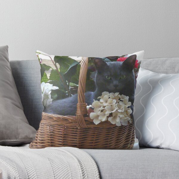Item preview, Sammy in a Basket designed and sold by Elizabeth "Tibby" Steedly.