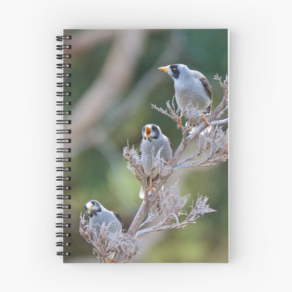 Item preview, HONEYEATERS ~ Noisy Miner vw5tiiKU by David Irwin designed and sold by tasmanianartist.
