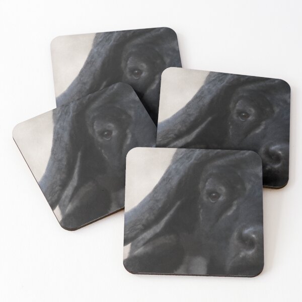 Item preview, Cape Buffalo designed and sold by AnthonyZed.