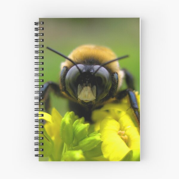 Item preview, Bee Mine designed and sold by Elizabeth "Tibby" Steedly.