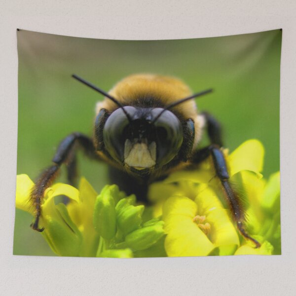Item preview, Bee Mine designed and sold by Elizabeth "Tibby" Steedly.
