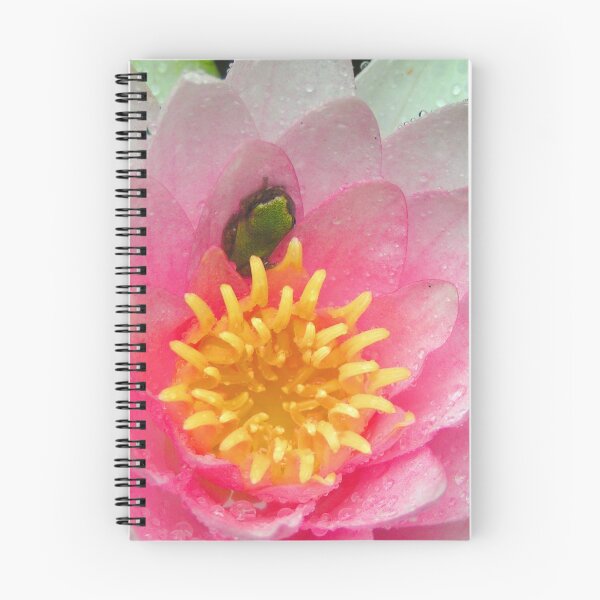 Item preview, Froglet in a Blossom designed and sold by Elizabeth "Tibby" Steedly.