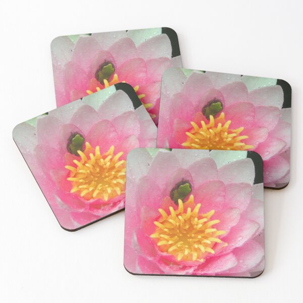 Item preview, Froglet in a Blossom designed and sold by Elizabeth "Tibby" Steedly.