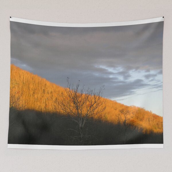 Item preview, Night and Day designed and sold by Elizabeth "Tibby" Steedly.