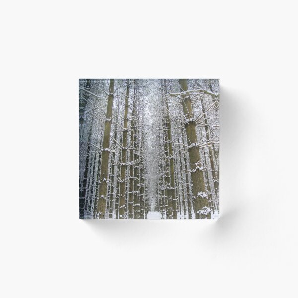 Item preview, Cathedral designed and sold by Elizabeth "Tibby" Steedly.
