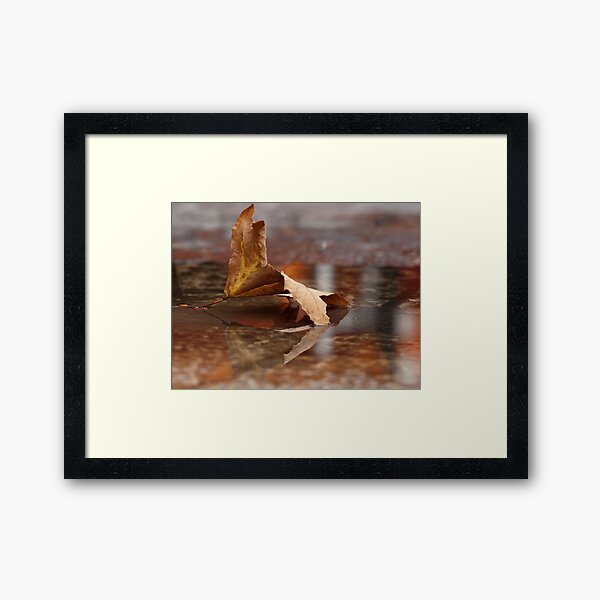 After the Rain Framed Art Print