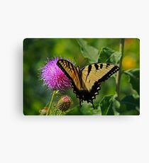 Outdoor Cafe Canvas Print