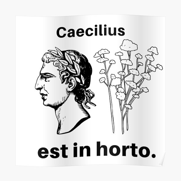 Caecilius est in horto. Poster