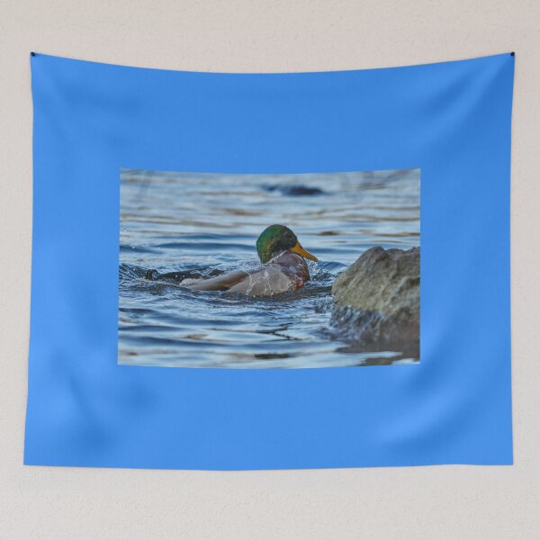 Item preview, Cool bath time. Mallard designed and sold by Jouko Lehto Photography.