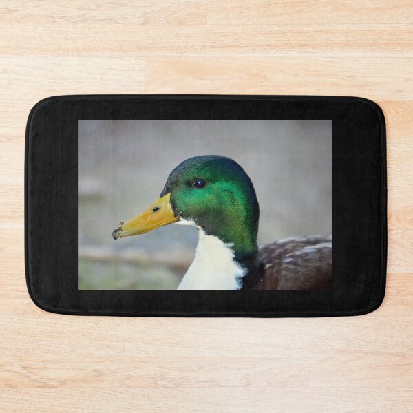 Item preview, False colors. Mallard designed and sold by Jouko Lehto Photography.