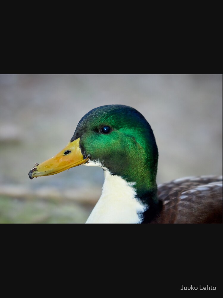 Discover マガモ 男女兼用 スウェット ニット セーター アニマル 動物 可愛い Anas platyrhynchos Mallard Duck
