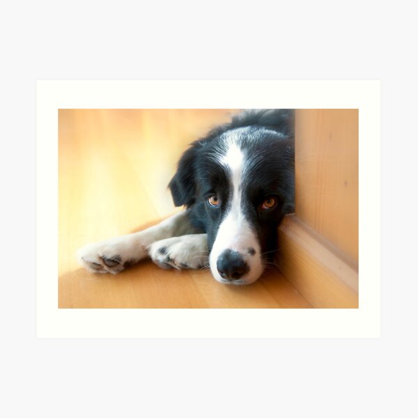 Always Watchful Art Print