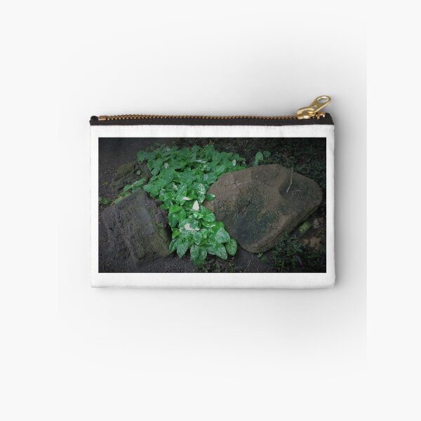 Item preview.