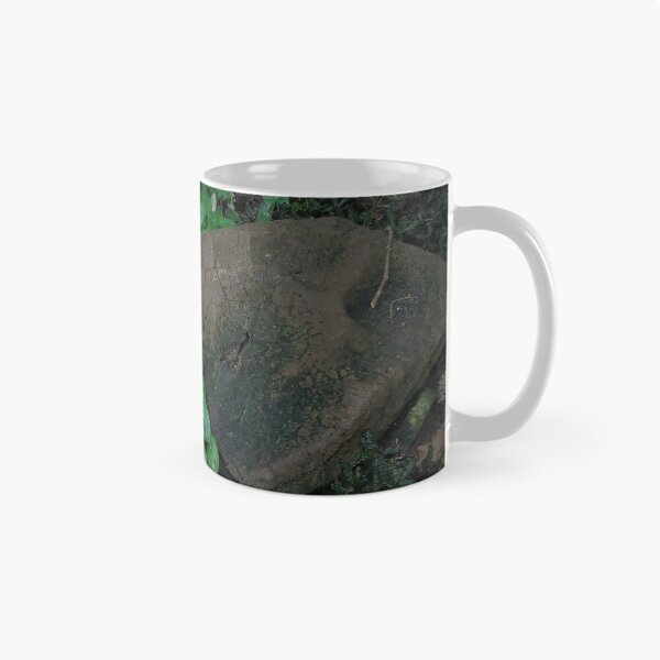 Item preview.