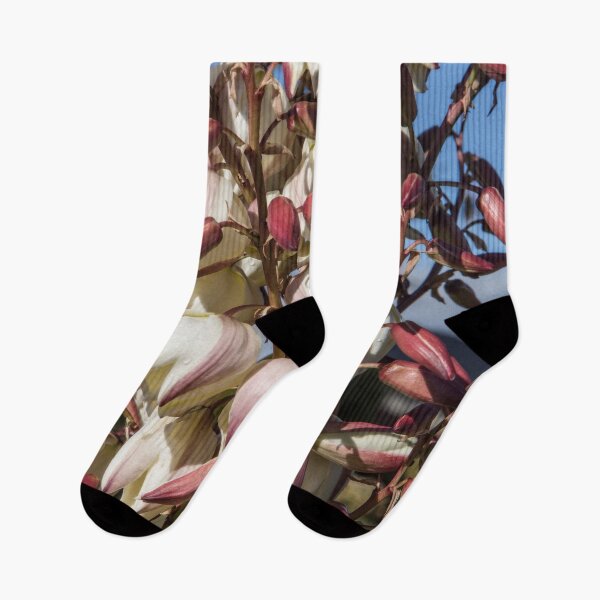 Item preview, Yucca in bloom designed and sold by Dave Hare Photography.