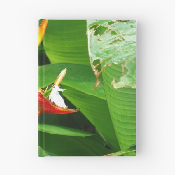 Item preview, Heliconia  designed and sold by Angel35.
