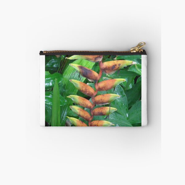Item preview, Heliconia  designed and sold by Angel35.